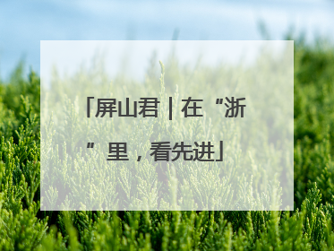屏山君｜在“浙”里，看先进
